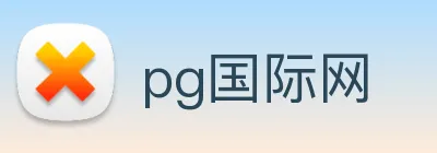 pg国际网 logo